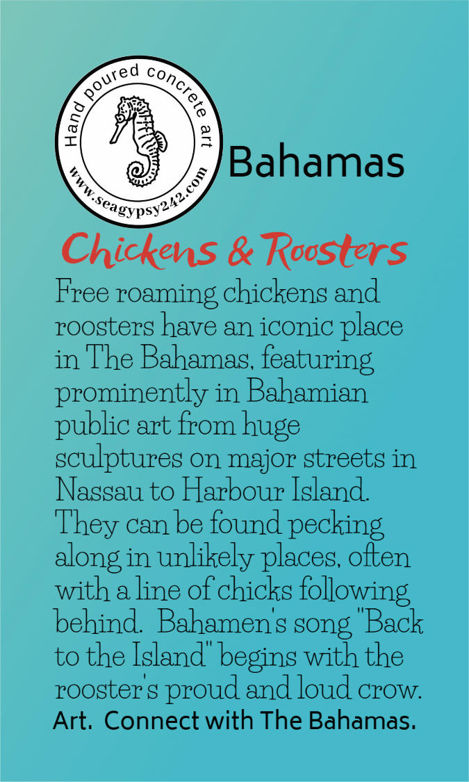 Bahamian chickens and roosters story card